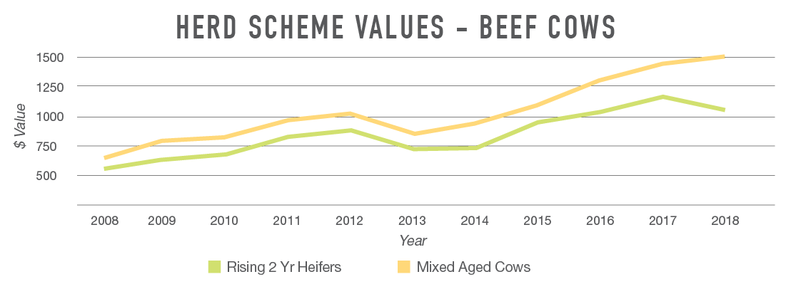 beef graph